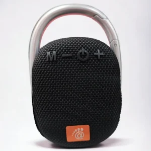 PARLANTE NANOTEC NT-P2417