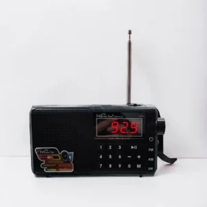 RADIO NANOTEC NT-R1231