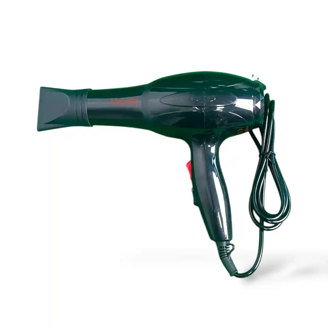 SECADOR LIZBELLA LB-6667-01 SECADOR LIZBELLA LB-6667 - Imagen 1