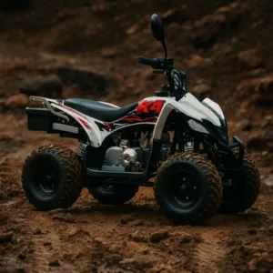CUATRIMOTO ZC-ATV-03B 110CC - Imagen 2