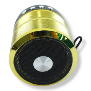 MINI PARLANTE WS-887 - Imagen 5
