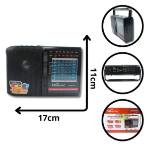 RADIO NANOTEC NT-R1174