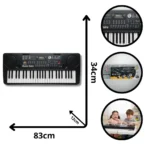 ORGANETA MQ-809USB (BOX 6)