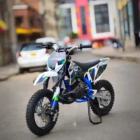 MOTOCROSS GASOLINA 2 TIEMPOS COMPETENCIA ZC-Y-50 50CC XTREME - Imagen 2