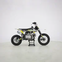 MOTOCROSS GASOLINA V2 MINI 110CC TRANSMISIÓN AUTOMÁTICA RIN 12/10 - Imagen 4