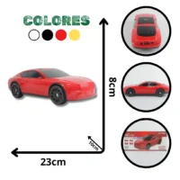 PARLANTE CARRO NANOTEC NT-P2462 (40)