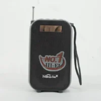 PARLANTE NANOTEC NT-P2460 (100) - Imagen 2
