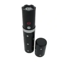 TAISER FORMA DE LABIAL T2-53 - Imagen 3