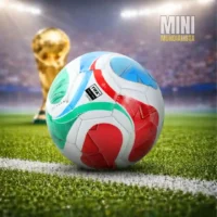 BALÓN MUNDIAL MINI NR9301