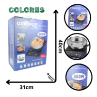 ESTUFA DE INDUCCIÓN PANEL GY-0255-O