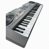 ORGANETA GRANDE MQ-808USB - Imagen 3