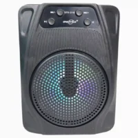 PARLANTE GRECITNICE GTS-2118 - Imagen 3