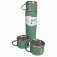 SET TERMO 500ML CON 2 POSILLOS DK-3958